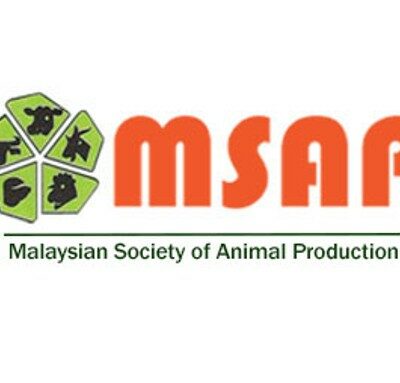 Image for choice number 2